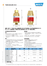 Flashback Arrestor 85 20 Chi